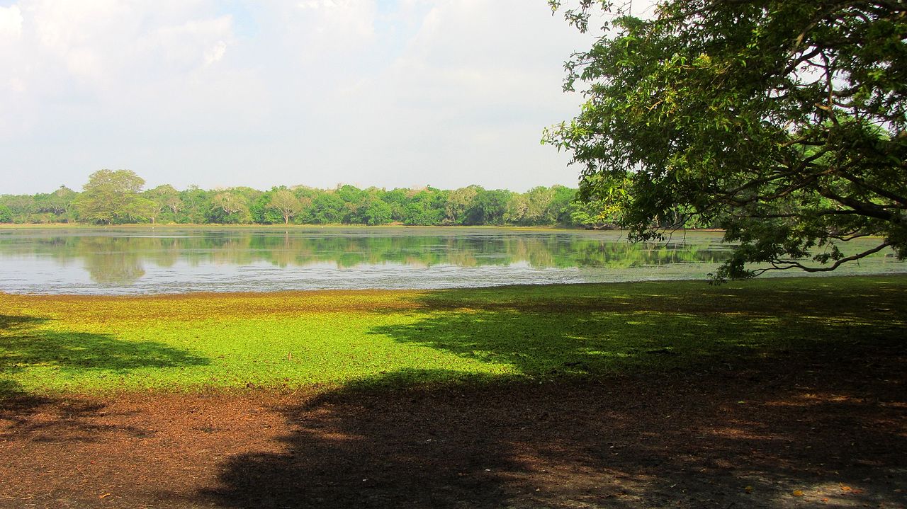 Plan a Trip to Wilpattu National Park Sri Lanka \u2013 Get one with nature ...