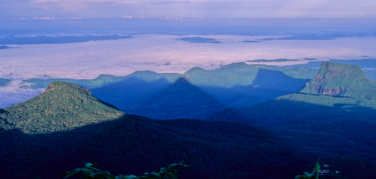 Shadow of the Peak