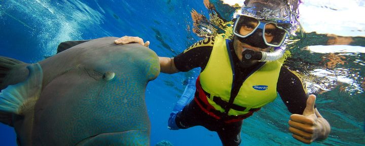 Why you should try snorkelling