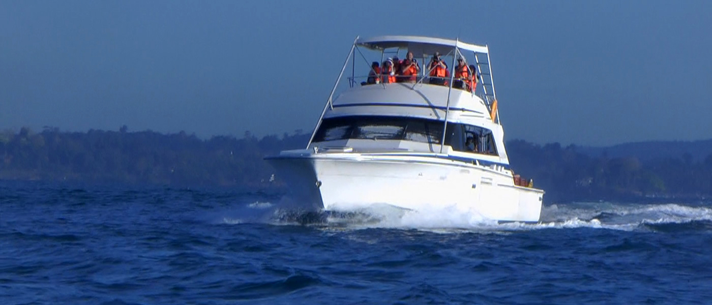 Whale Watching Mirissa | Image Courtesy: Southern Whale