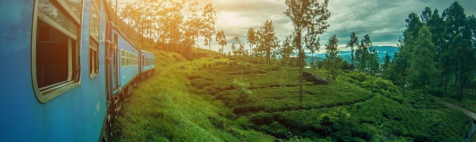 The Hill Country Tour to Sri Lanka