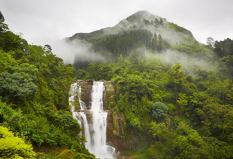 Why You Should Visit Sri Lanka