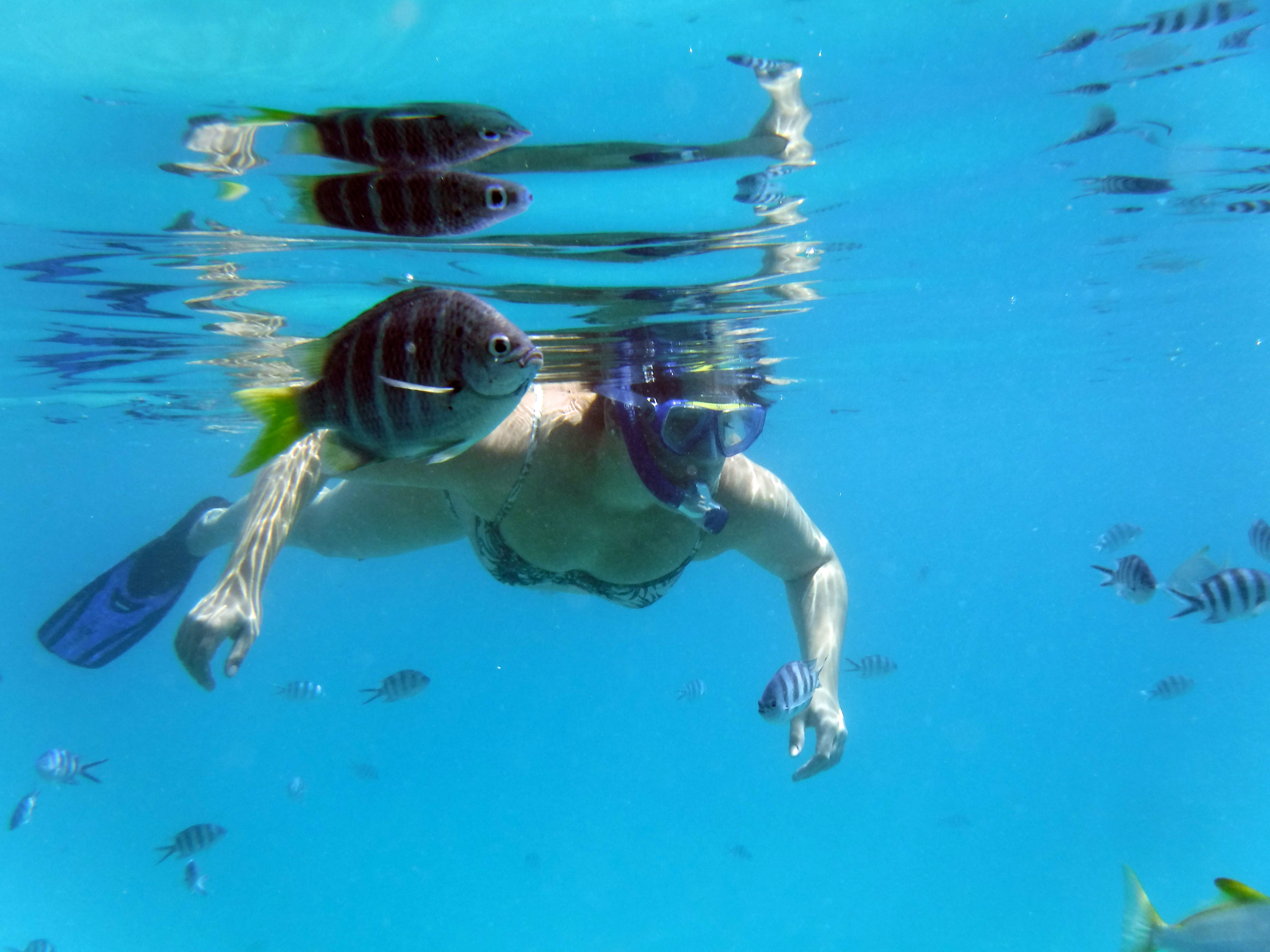 Diving in Mahé, Seychelles