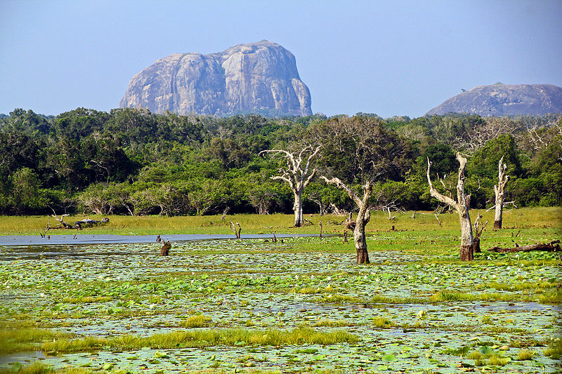 The Paradise of Wildlife in Sri Lanka