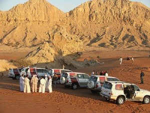 Desert safaris in Abu Dhabi: Discover the adventures among the sand dunes