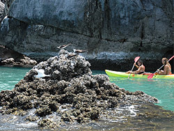 Take a kayaking tour- Exploring Krabi’s Best Caves