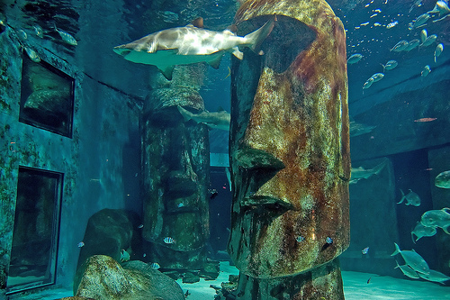 The London Aquarium