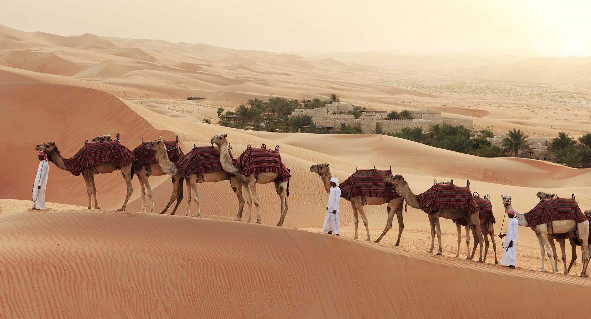 Adventure-Filled Activities in the Abu Dhabi Desert