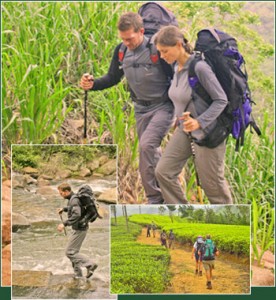 Jungle Trekking in Sri Lanka