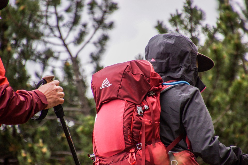 A Hiker’s Guide to Sri Lanka’s Knuckles Mountain Range