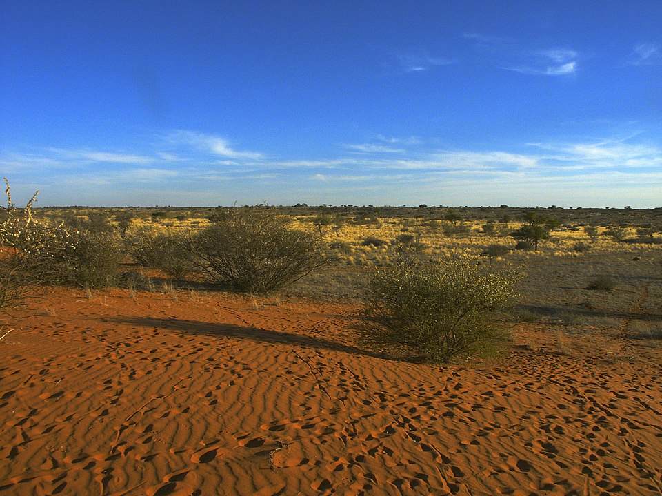 Interesting facts about the Kalahari Desert