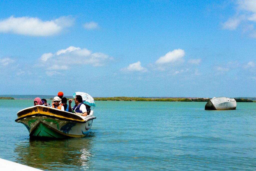 Kalpitiya Boat Safari