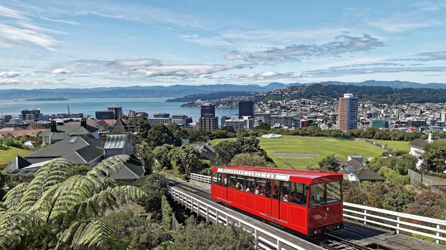 Why You Will Fall In Love with Wellington