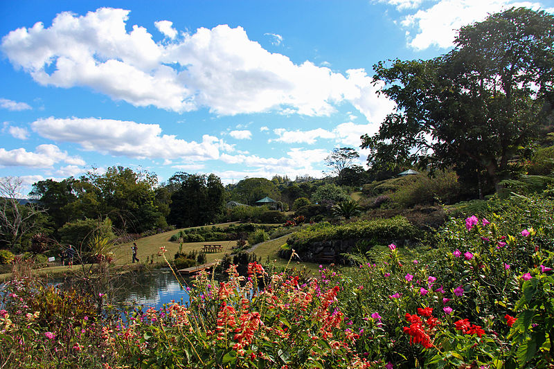 Explore the Sunshine Coast Hinterland