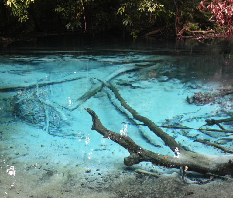 Visits to the Emerald Pool and Blue Lagoon in Krabi