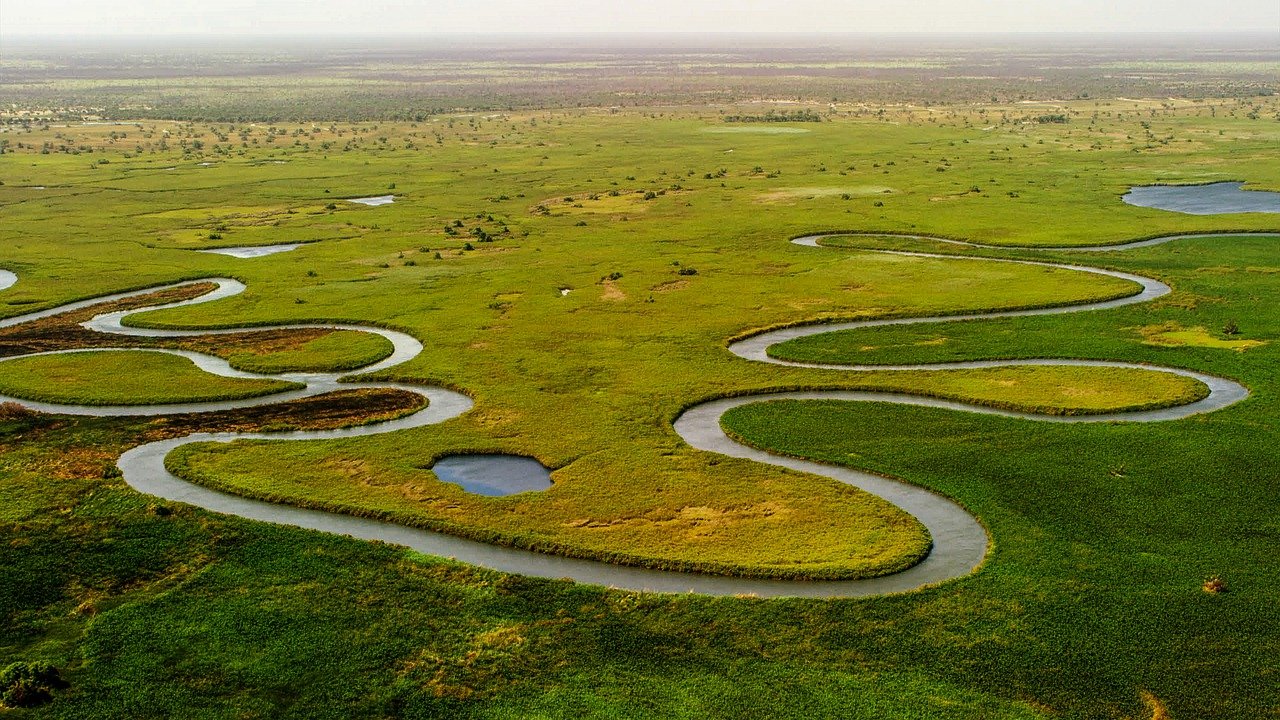 Botswana Wildlife Highlights