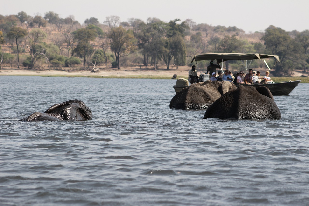 Why Botswana is considered a unique travel destination