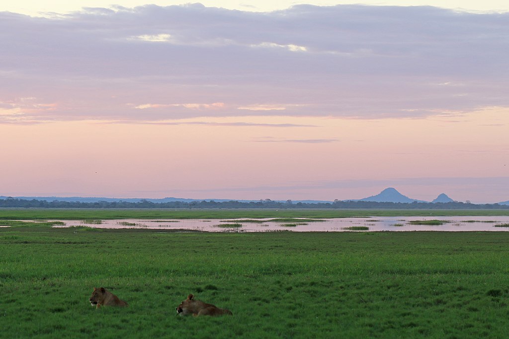 Wildlife Safaris in Mozambique