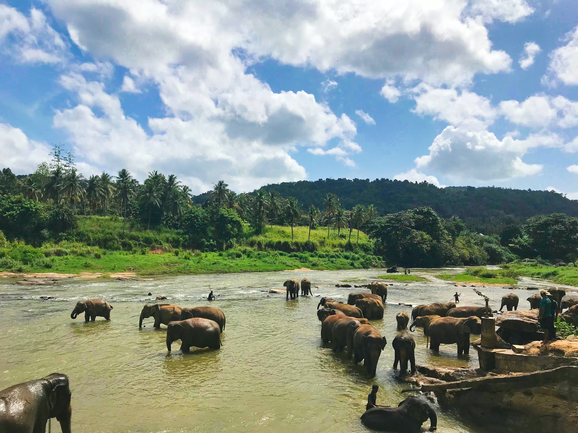 Travel Adventures in Sri Lanka
