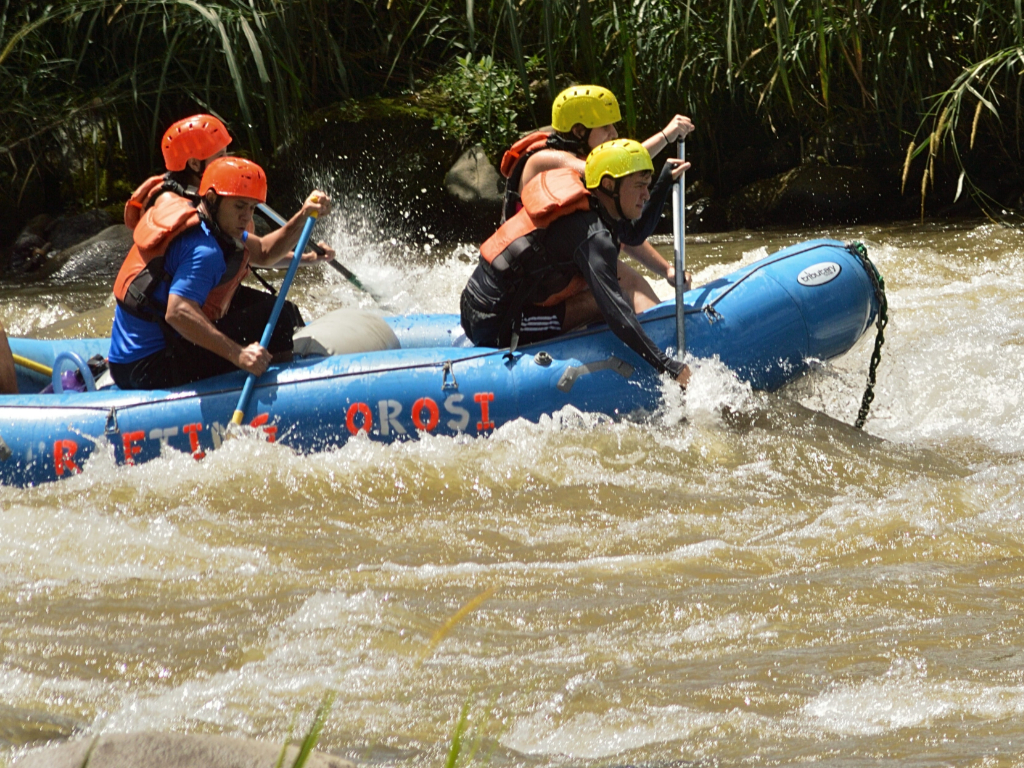 Best Adventure Activities to do in Cairns That Will Surely Increase Your Adrenaline – Test your bravery!