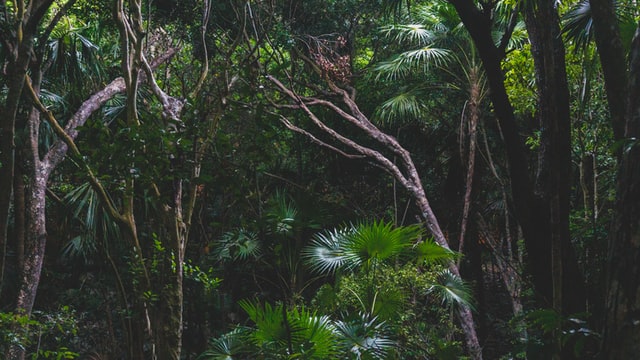 Exploring the Ba Vi National Park