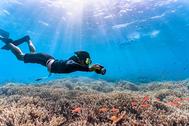 Everything you need to know about snorkelling in the Maldives