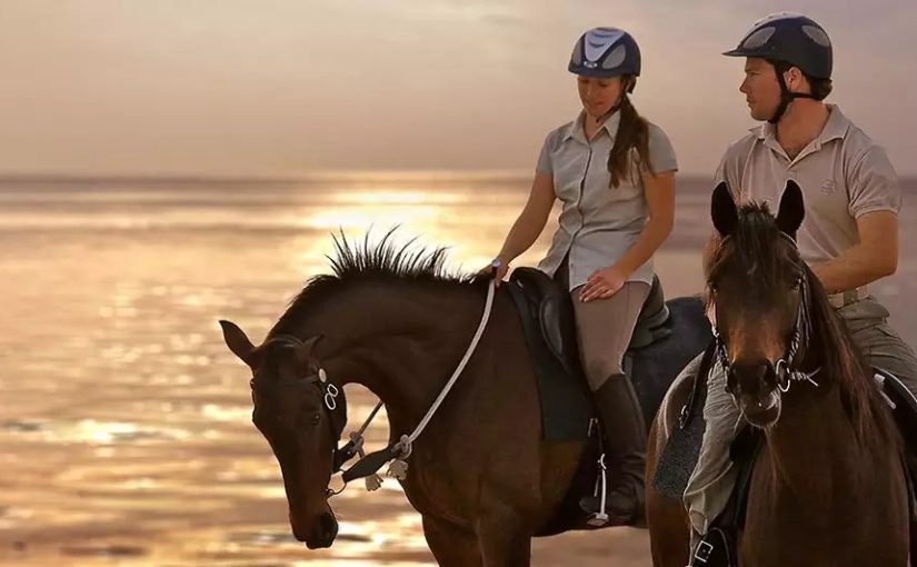 Horseback Riding for Novices – A Guide to Get You Saddled Up