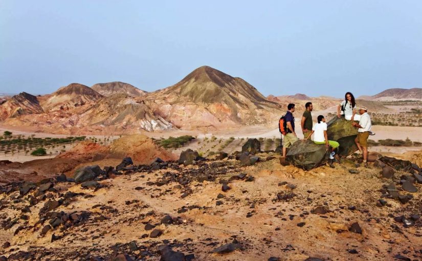 Top Outdoor Activities in Sir Bani Yas Island – Captivating Discoveries, Exciting Adventures