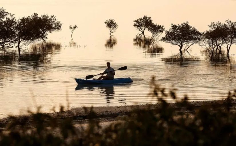 Your Kayaking Adventure in Abu Dhabi – A Journey Through the Still Waters