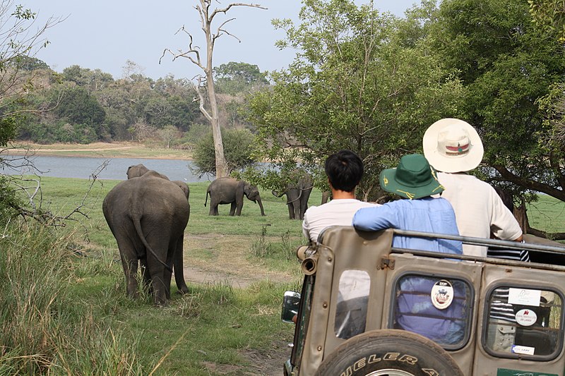 Minneriya National Park