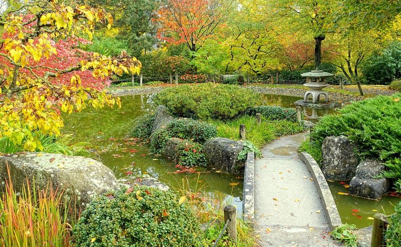 1024px-Japanese_garden_-_Landesgartenschau-Park_-_Würzburg,_Germany_-_DSC04414