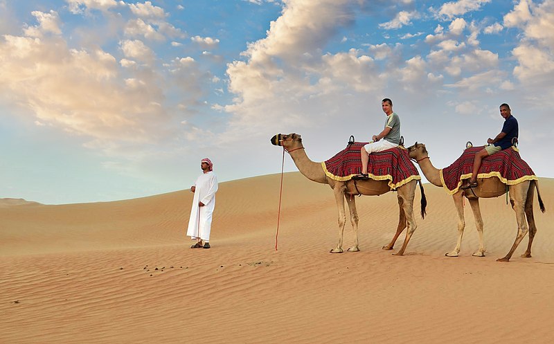 Standard Desert Safari in Dubai – What to expect