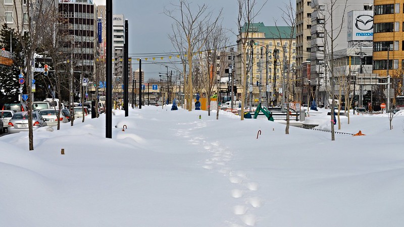 All You Need to Know: Otaru Snow Light Path Festival 2024