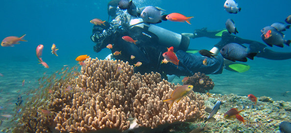 Scuba Diving in Hikkaduwa – Explore beneath the waves