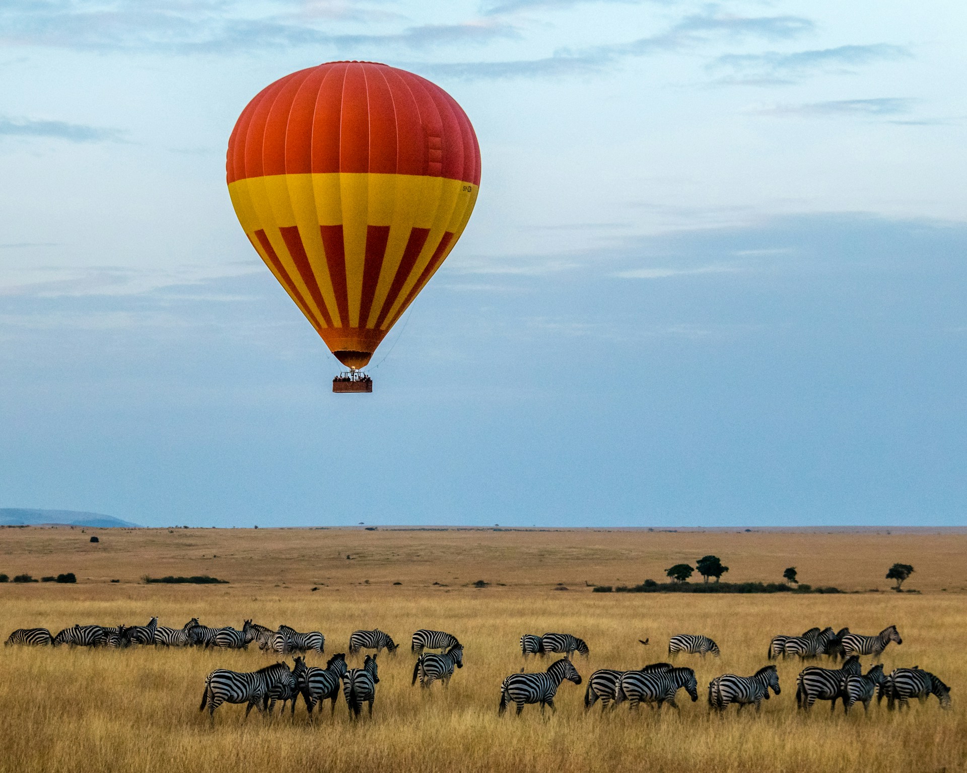 Hot Air Balloon Rides 