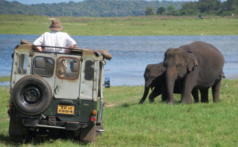 Minneriya National Park