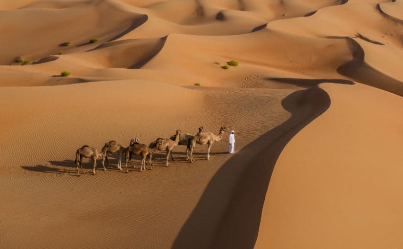 Embark On Abu Dhabi’s Top 5 Desert Adventures — Dive into exhilarating experiences!