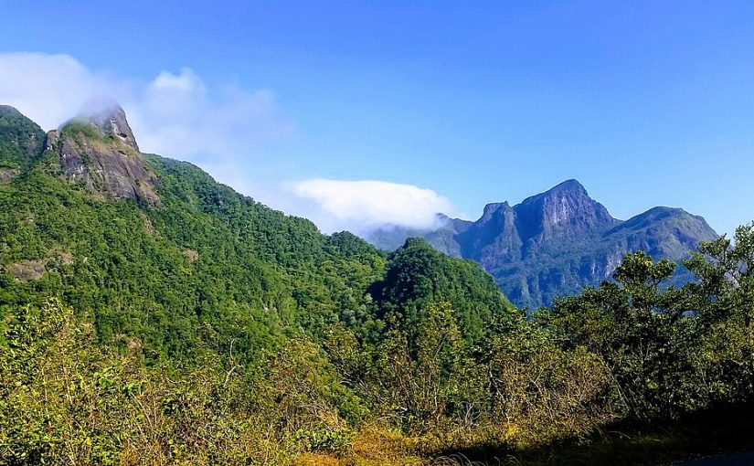 Exploring Sri Lanka’s Enchanted Forests – Nature’s Hidden Gems Await!