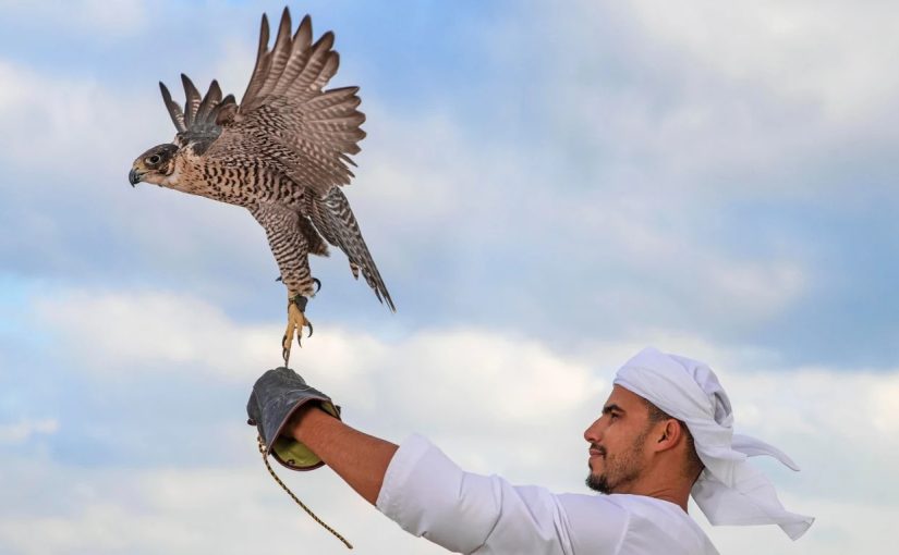 Experience Abu Dhabi’s Thrilling Desert Adventures: Escape the city and discover a world of adventure!