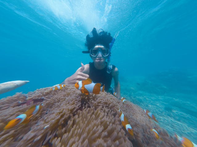Scuba Diving & Snorkelling Around Koh Samui: Exploring the Depths of Thailand’s Gulf