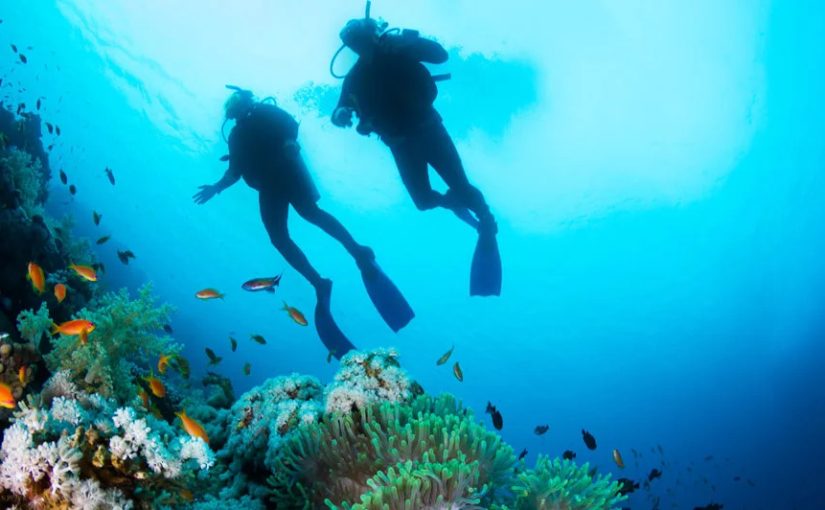 Koh Lanta Diving Guide: Top Dive Sites, Marine Life and Best Seasons