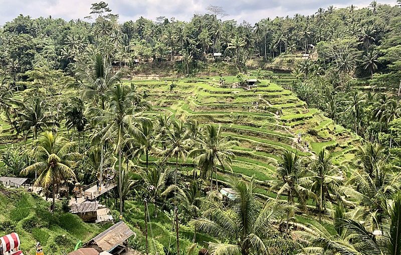 Beyond the Beaches: Exploring Bali’s Hidden Natural Wonders