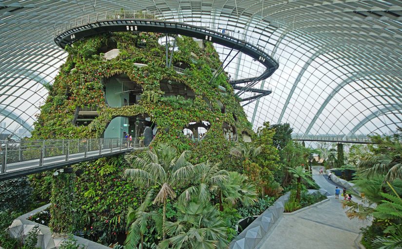 Cloud Forest in Singapore