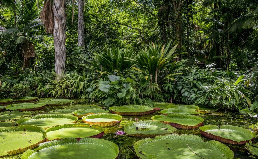 A Fun Family Day Out at River Wonders in Singapore – Discover the Wonders of the Wild