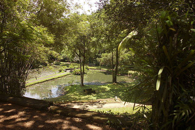 Exploring Colombo’s Uniqueness: Activities and Adventures You Can’t Miss