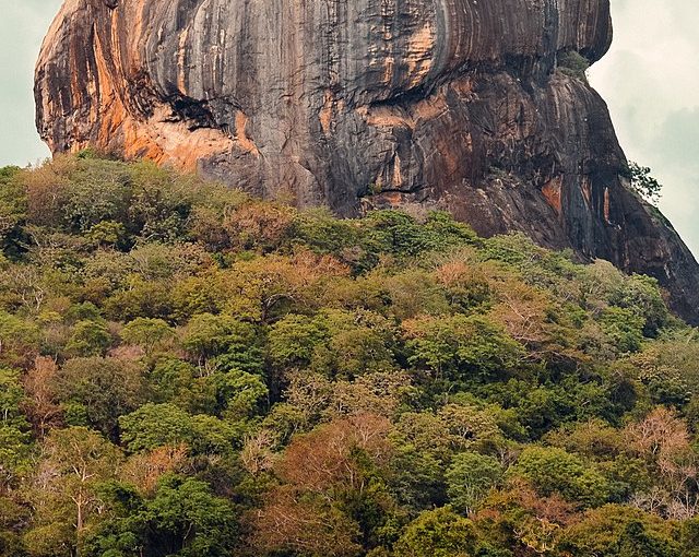 Sri Lanka’s Cultural Triangle—Why Habarana Should Be on Your Travel Itinerary