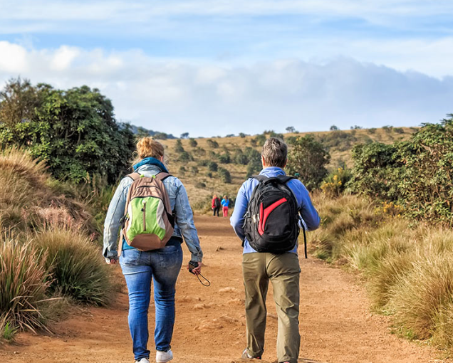 Beach or Hill Country: How to Pick Your Sri Lankan Escape – Sun, Mist, and Magic!