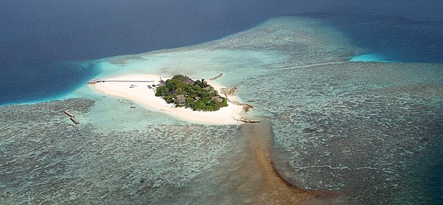 Riding Waves in the Maldives: A Beginner’s Surfing Handbook