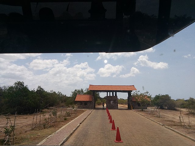 Top Reasons to Choose Yala for Your Next Safari Adventure – A Day Out Among Nature and Wildlife