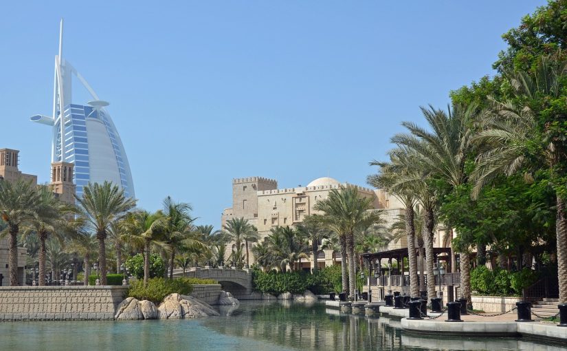 A Nature Lover’s Guide to Exploring the Mangroves of Ras Al Khaimah – Into the Green
